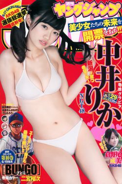 私藏浪漫电视剧免费播放